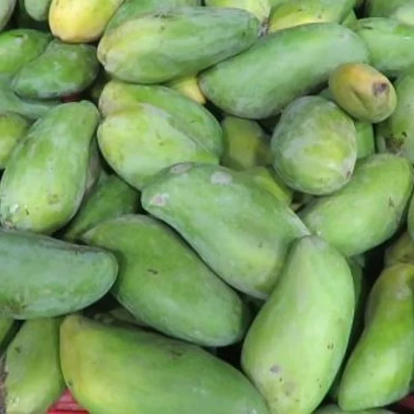 مانجو صديقة